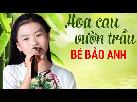 Hoa Cau Vườn Trầu - Bé Gái Hát Quan Họ Hay Nhất Vịnh Bắc Bộ - Bé Bảo Anh