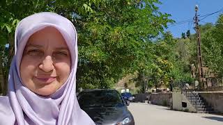 Güroymak Bi̇tli̇s Abdurrahman Tagi̇ Hz Türbesi̇ Nurşi̇n