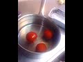 cuire tomate l'eau