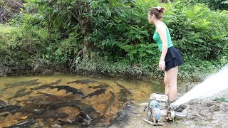 Top Videos Fishing: The Girl Who Hunts Big Fish With Pump, Video Unique Fishing Catch A Lot Off Fish