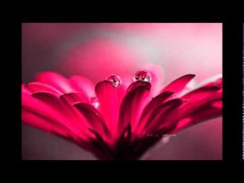Stachursky - Żyłem Jak Chciałem Stachursky - Żyłem Jak Chciałem