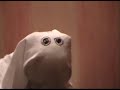 Bande Annonce De Paranormal Acitvity 4 Official Bande Annonce De Paranormal Acitvity 4 Official