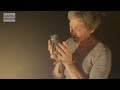 Slow Motion Pigeon Clap - Slo Mo #15 - Earth Unplugged