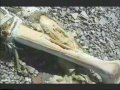 Mount Everest Mallory Irvine 1924 Discovery Of Mallory S Body Mount Everest Mallory Irvine 1924 Discovery Of Mallory S Body