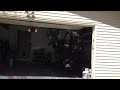 Watch: The Great Raccoon Saga The Great Raccoon Saga