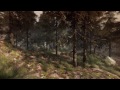 Ведьма [The Vanishing of Ethan Carter]