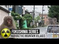 Fukushima's radioactive monkeys & mountain villages