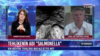 Ht Gündem - 21 Haziran 2017 Salmonella Virüsü