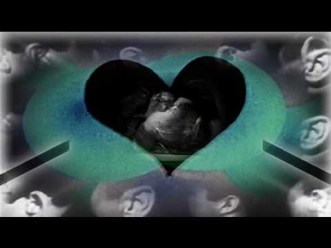 Metric - Help I'm Alive Video