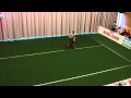 Anna und Astra.MP4