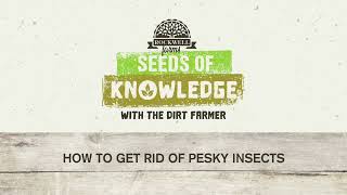 Seed of Knowledge ESP 18: Get Rid of those Pesky Insects