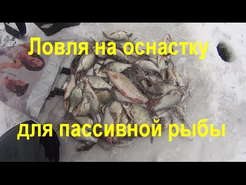 снасть для ловли пассивного снасть для ловли пассивного