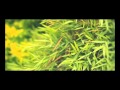 The official video of