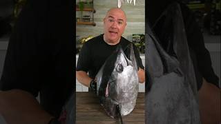 Why Tuna Fish Head Cut