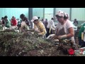 FITAG UGT Campaña del Plantón de Fresa en Castilla y León FITAG UGT Campaña del Plantón de Fresa en Castilla y León