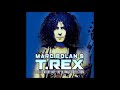 Marc Bolan & T. Rex - I Love To Boogie