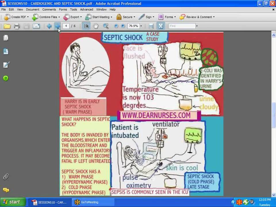 Nursing case study hypovolemic shock