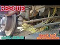 RESCUE | Check and maintenance SUZUKI MULTICUB