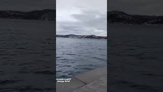 Beykoz Sosyal Tesisleri Harika Bir Yer. Havası, Manzarası Fiyatları Çok Iyi.