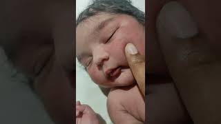 Chubby Girl In The World