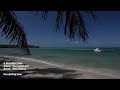 Relaxing Music Therapy - Relaxing Nature Scenes - Relaxing Piano Music - A Beautiful Soul - Nature Scenes