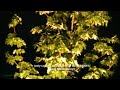 Orange UFO Emits Beautiful Sparkles while Changing Shape