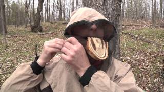 Camping In Bug Season - The Happy Camper