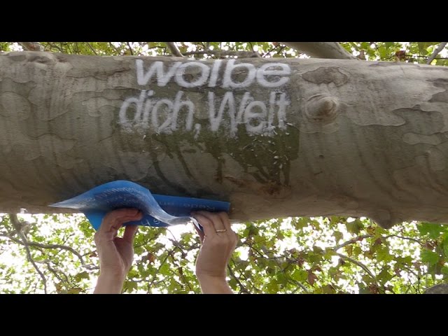 Mein Kanal