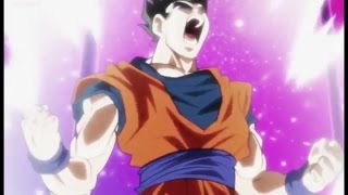 Episode 80 Power Levels | Dragon Ball Super |???????? Universe Survival Saga