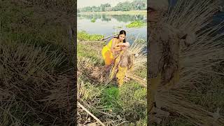 15 अकतबर 2025