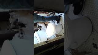 Rotten, moldy wall partially replaced