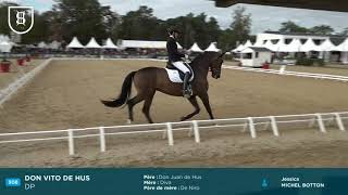 Saumur 2019 - DON VITO DE HUS, Champion des 5 ans