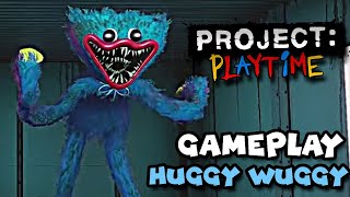 Project Playtime - Huggy Wuggy Gameplay