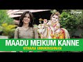 Maadu Meikum Kanne I Uthara Unnikrishnan I Oothukkadu Venkata Kavi