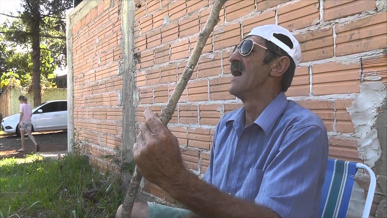 Todos os vídeos