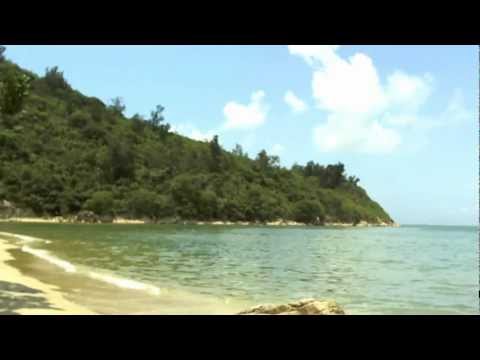 Relaxing nature sounds | piano and flute instrumental music (...