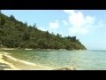 Relaxing nature sounds | piano and flute instrumental music (Farewell)
