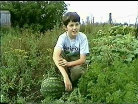 Агропанель своими руками Агропанель своими руками