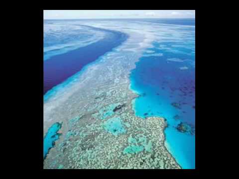 Check out their website to learn more about the Queensland/ The Check out their website to learn more about the Queensland/ The