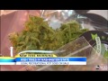 Legal Marijuana in Washington State: Lone Pot Shop, Cannabis City, Opening in Seattle