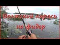 Ловля карася в июле на Волге Ловля карася в июле на Волге