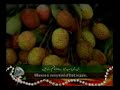 Rahman Nice Qari Ameer Ali Noshahrvi images Rahman Nice Qari Ameer Ali Noshahrvi