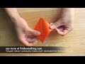 1 - Origami Raven / Penguin