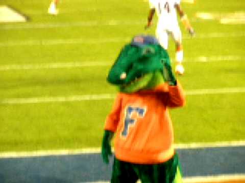 university of florida mascot. 2011 with Florida Gator mascot