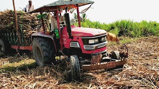 Mahindra Arjun 555 tractor stuck with fully loaded sugarcane trolley |Mahindra tractor power| CFV|