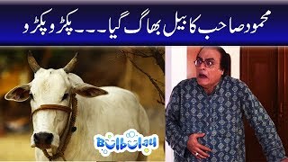 Bulbulay Season 2 Episode 13 Ayesha Omar Nabeel