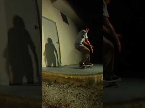 Danny Fuenzalida 2009 Classic Skateboarding Shorts
