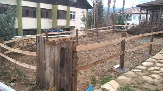 Mister Dörtnalın Yeni Evi