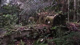 WWII aircraft in jungle outside Aitape, Papua New Guinea