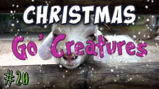Minecraft - Mo Goats - Day 20 Advent Calendar